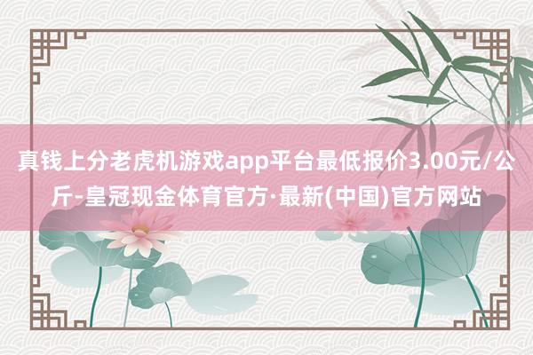 真钱上分老虎机游戏app平台最低报价3.00元/公斤-皇冠现金体育官方·最新(中国)官方网站