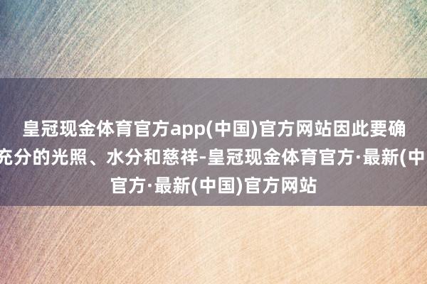 皇冠现金体育官方app(中国)官方网站因此要确保植物取得充分的光照、水分和慈祥-皇冠现金体育官方·最新(中国)官方网站