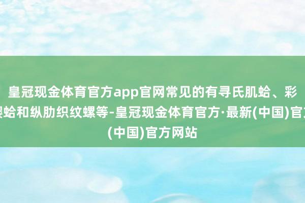 皇冠现金体育官方app官网常见的有寻氏肌蛤、彩虹明樱蛤和纵肋织纹螺等-皇冠现金体育官方·最新(中国)官方网站